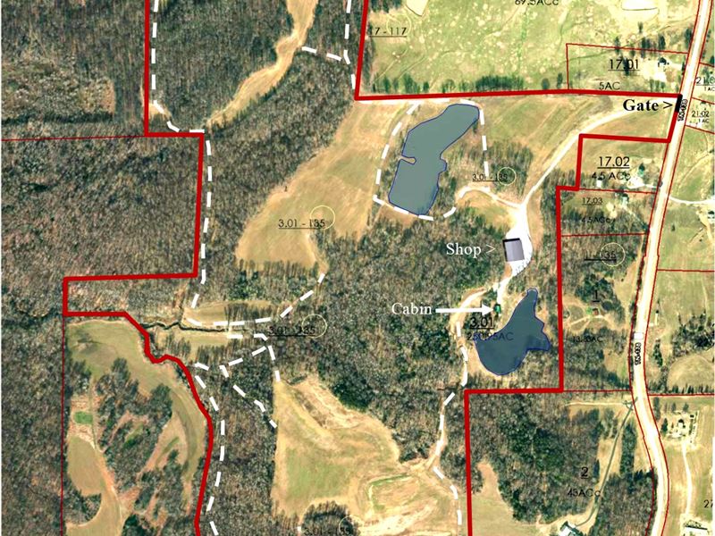 Farm & Hunting Land, Fishing Lakes : Mercer : Madison County : Tennessee