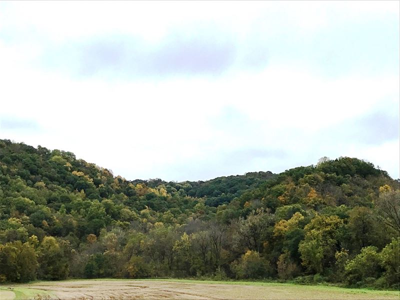 Rec Land for Nature Based Adventure : Ferryville : Crawford County : Wisconsin