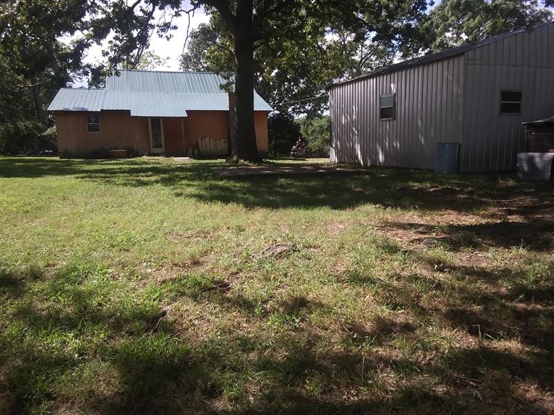 Hobby Farm, Country Home, 2 Ponds Ranch for Sale in Mountain View