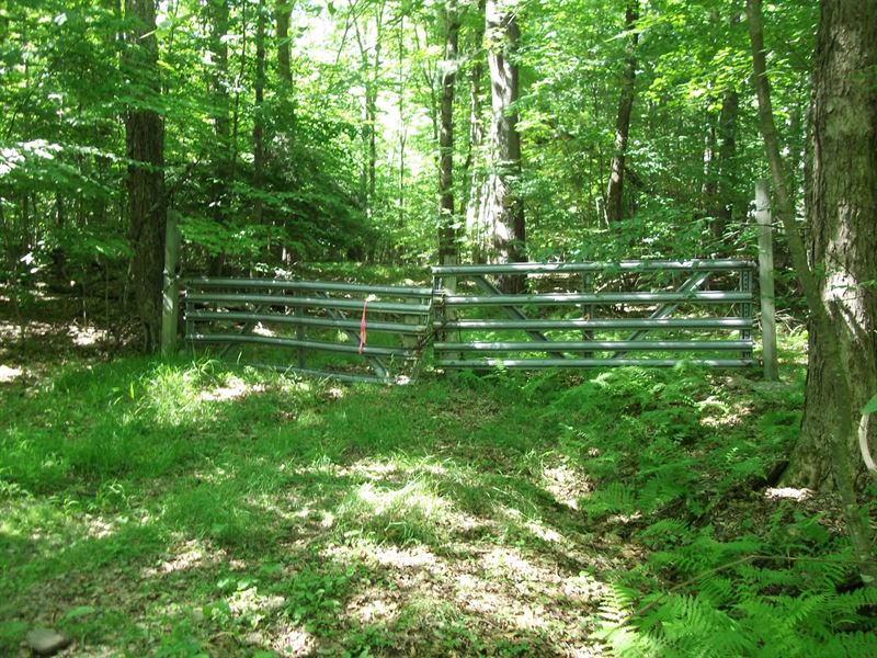 Hunting Paradise : Deposit : Broome County : New York