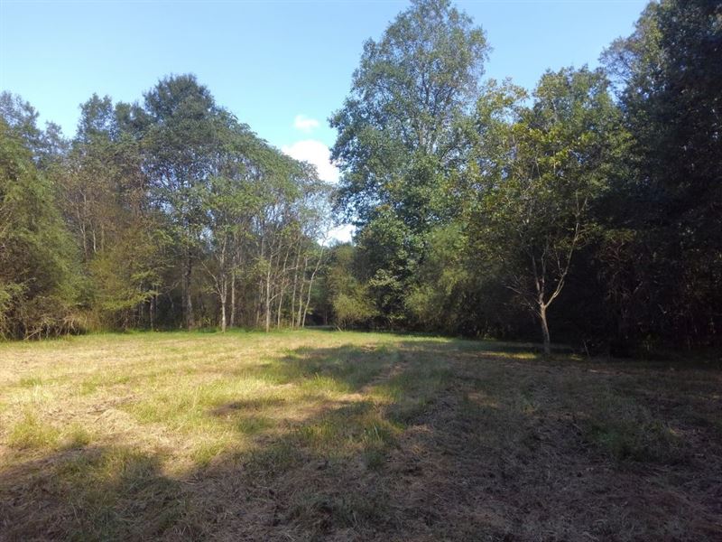 Woods Trust Tract : Chapel Hill : Orange County : North Carolina