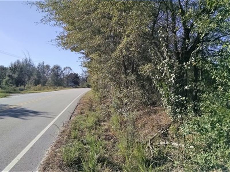 29.1 Acres, Kershaw County : Lugoff : Kershaw County : South Carolina