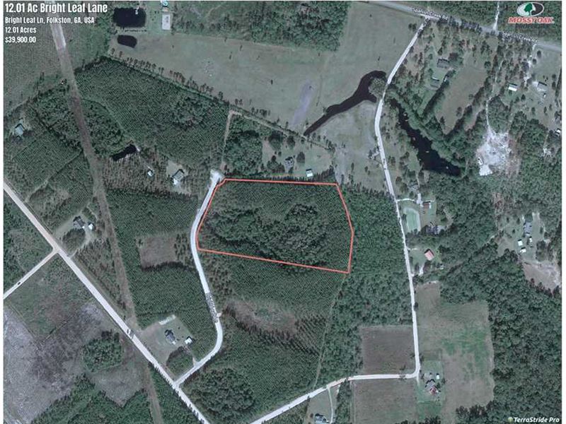 12 Acres Land for Sale in Charlton : Folkston : Charlton County : Georgia