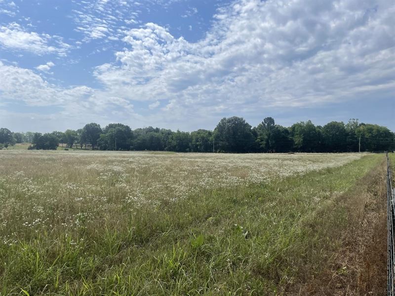 15 Acres, Crown Lake View, Horse : Horseshoe Bend : Izard County : Arkansas