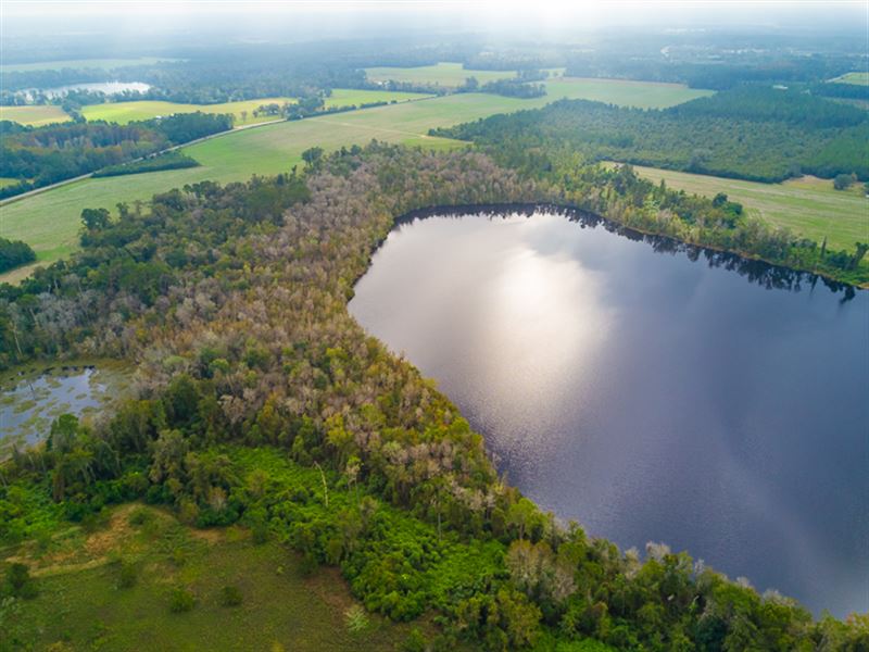 Frontage On Wellborn Lake : Wellborn : Suwannee County : Florida