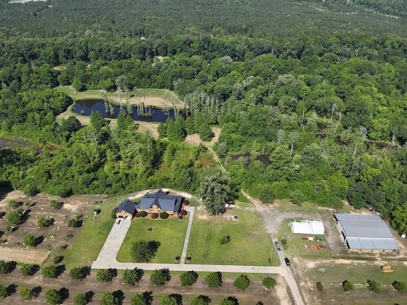 120 Acre Pecan Fa : White Oak : Bladen County : North Carolina