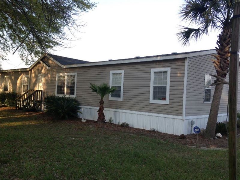 Home and Palm Tree Farm : Live Oak : Suwannee County : Florida