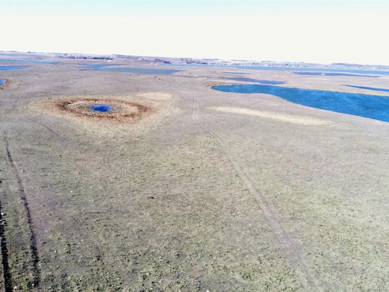 303.43 Acres in Day County SD : Webster : Day County : South Dakota