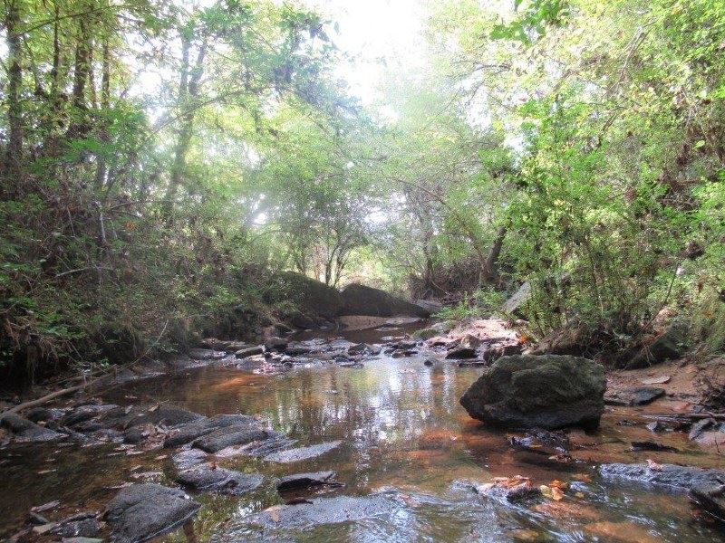 145 Acre Tract in Tallapoosa County : Alexander City : Tallapoosa County : Alabama