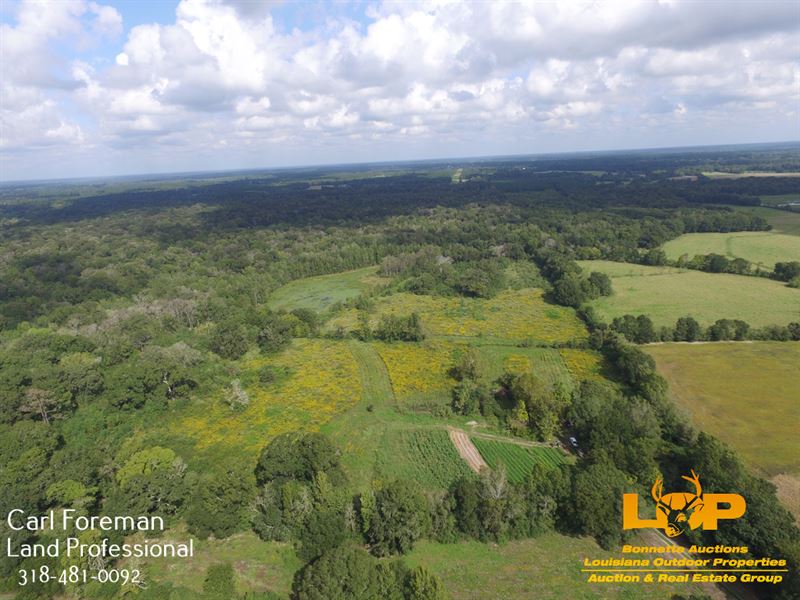 36 Acres Evangeline Parish : Ville Platte : Evangeline Parish : Louisiana