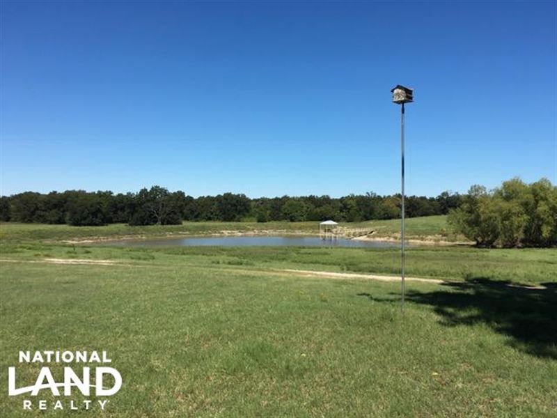 Greenwood Area Ranch Land, Ranch for Sale in Texas, 179267 RANCHFLIP