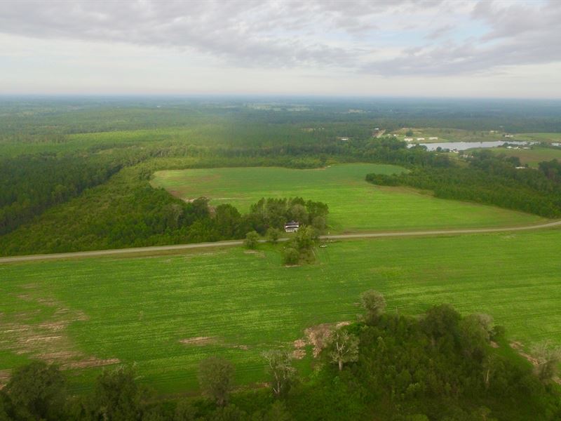 170 Acre Plantation with Home : Alma : Bacon County : Georgia