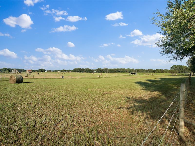 60 Acres and Very High Quality Home : Groveland : Lake County : Florida