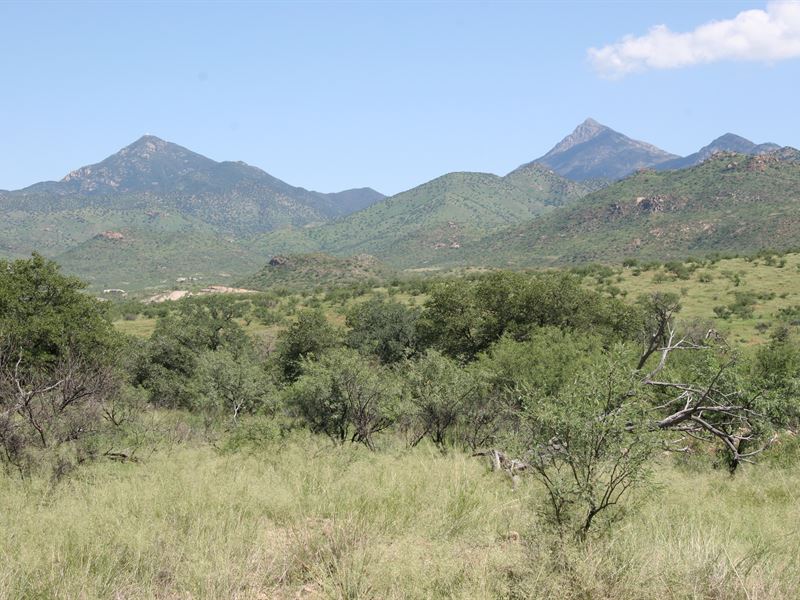 Arizona's Salero Ranch : Tubac : Santa Cruz County : Arizona