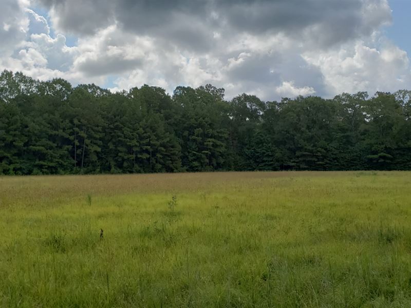 Roxie Wildlife Tract : Roxie : Franklin County : Mississippi
