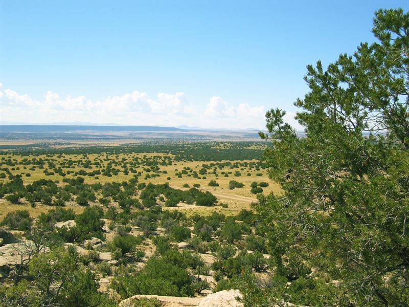 Arizona's Woodland Valley Ranch : Saint Johns : Apache County : Arizona