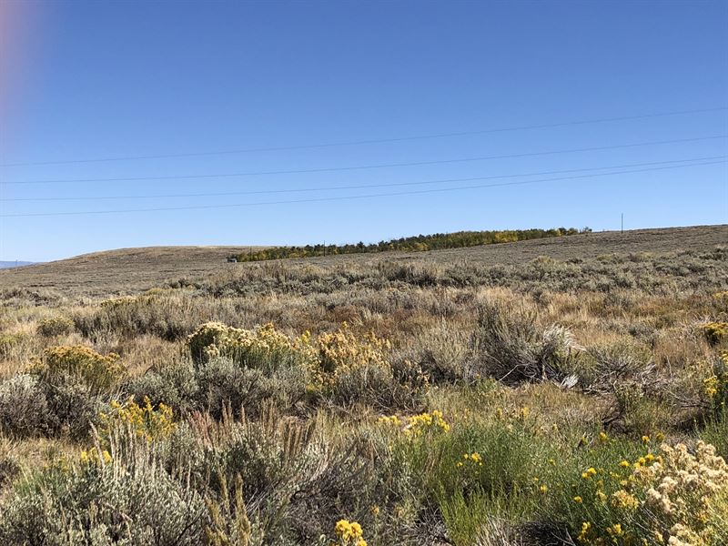 Rabbit Ears 35 Acre Tract : Steamboat Springs : Jackson County : Colorado