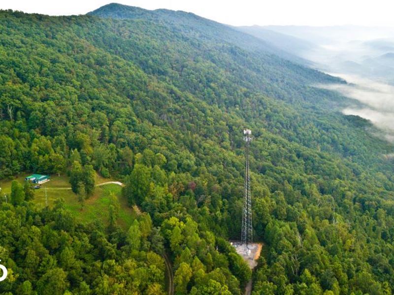 Joppa Mountain Tennessee Acreage Pr : Rutledge : Grainger County : Tennessee