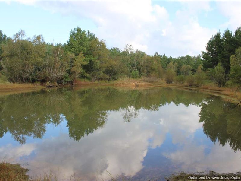 Great Recreational Property : Crystal Springs : Copiah County : Mississippi
