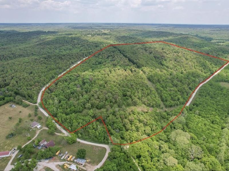 93 Acres of Timber Just Minutes Fro : Eldridge : Laclede County : Missouri