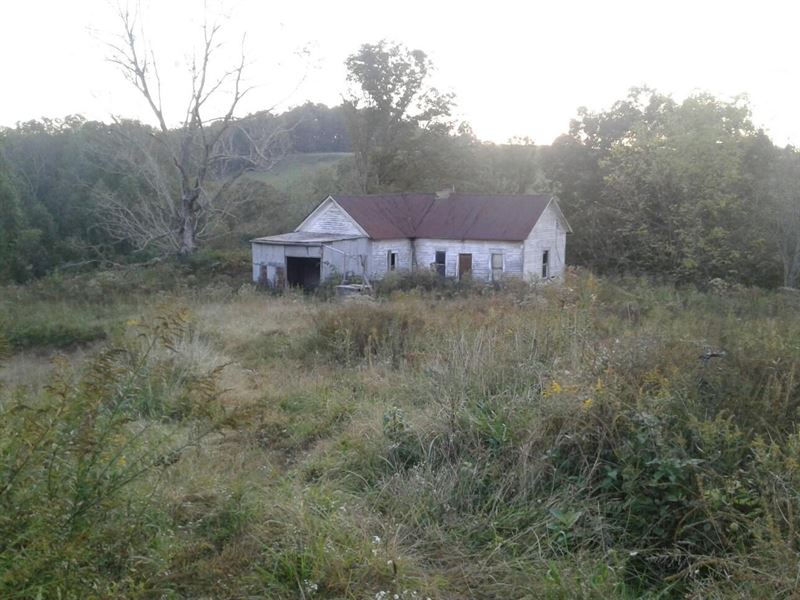 Old Horse Farm Home Site, 30 Acres : Gandeeville : Roane County : West Virginia