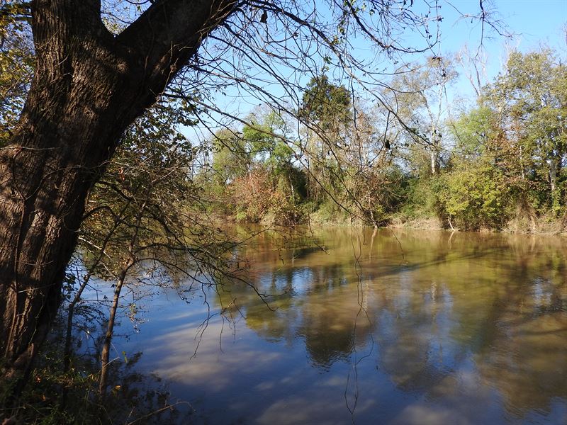55.6 +/- Acres On Oostanaula River : Calhoun : Gordon County : Georgia