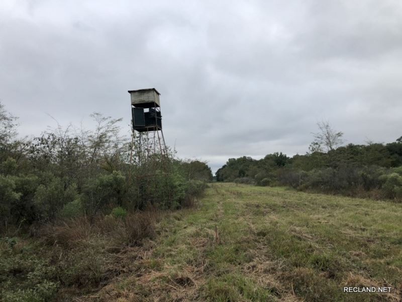 141 Ac, Wrp Hunting Tract Near Tow : Winnsboro : Franklin Parish : Louisiana