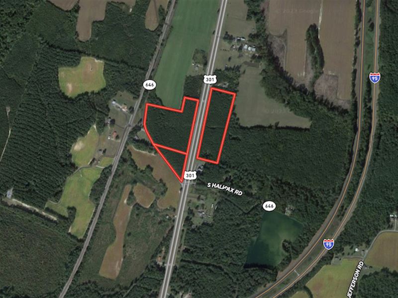 20 Acres of Timbe : Jarratt : Sussex County : Virginia