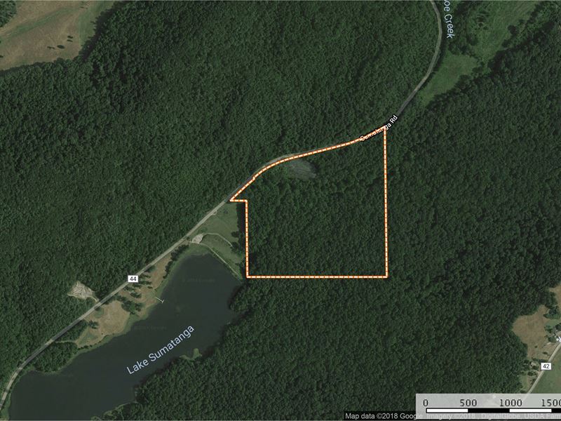 39 Acres Joining Camp Sumatanga : Gallant : Saint Clair County : Alabama