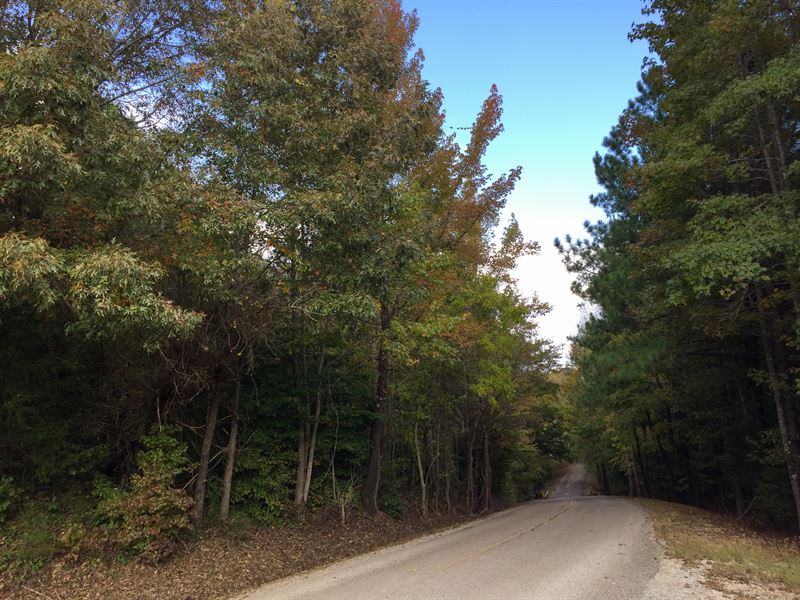 Tract 1591, Sealed Bid Land Sale : Adamsville : McNairy County : Tennessee