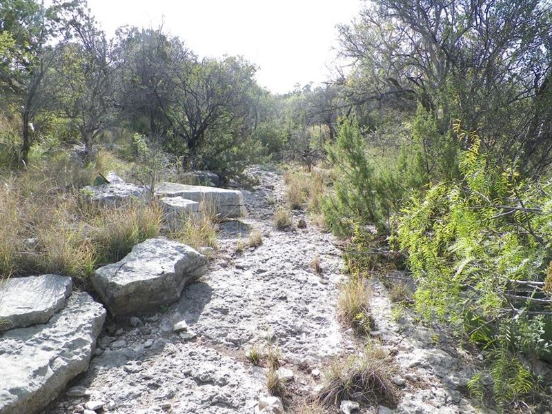100 Acre Irion County Ranch : Mertzon : Irion County : Texas