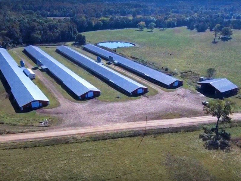 Cattle and Poultry Farm, 156 Ac : Clarksville : Johnson County : Arkansas