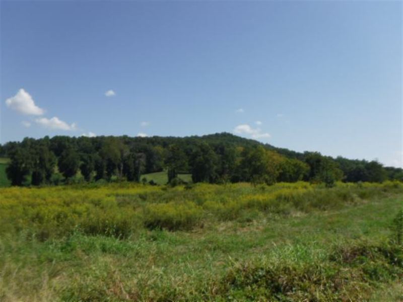 12.37 Acres Totally Open Pasture : Sparta : White County : Tennessee