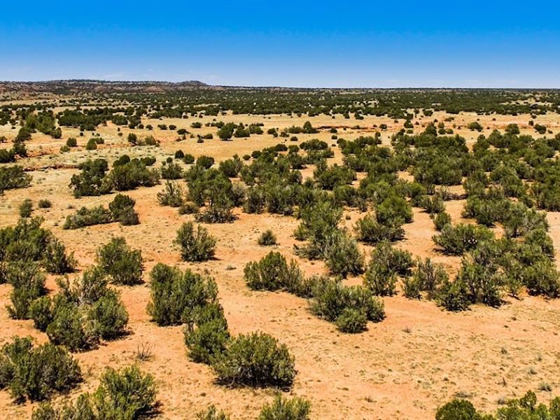 Secluded Off-The-Grid Acreage in AZ : Snowflake : Navajo County : Arizona