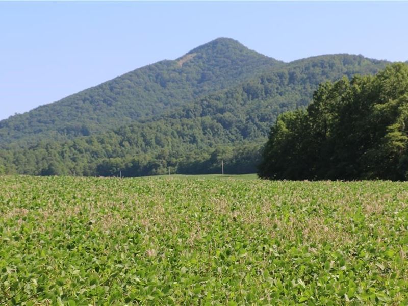 Land for Sale in Lambsburg VA : Lambsburg : Carroll County : Virginia