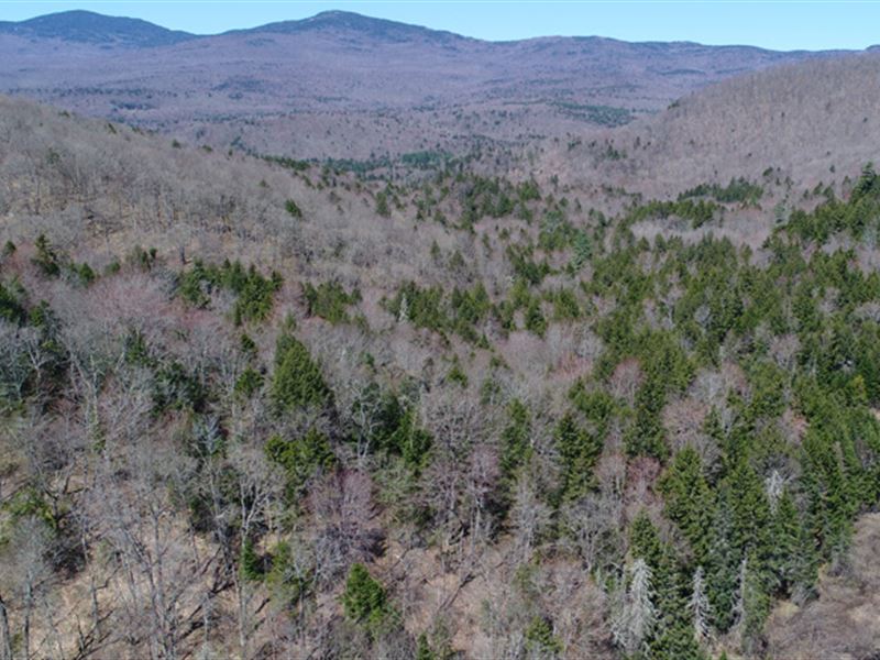 Eagle Ledge Timberland Tract : Worcester : Washington County : Vermont