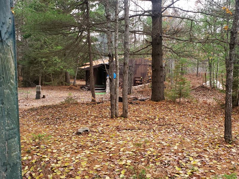 Perfect Your Hunt in Michigan : Cheboygan : Cheboygan County : Michigan