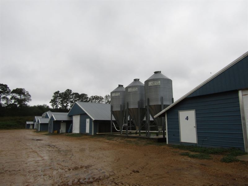 49 Acres with 4 Chicken Houses In : Mize : Smith County : Mississippi