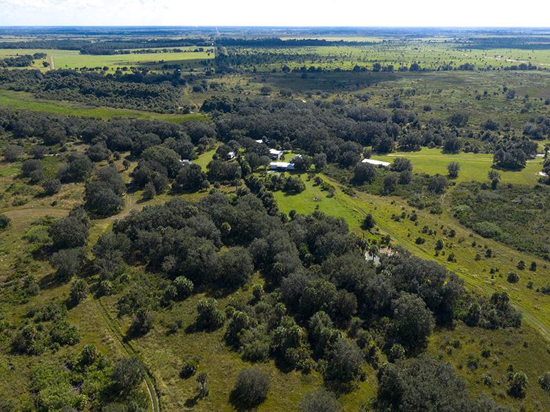 Kissimmee Prairie Ranch : Okeechobee : Okeechobee County : Florida
