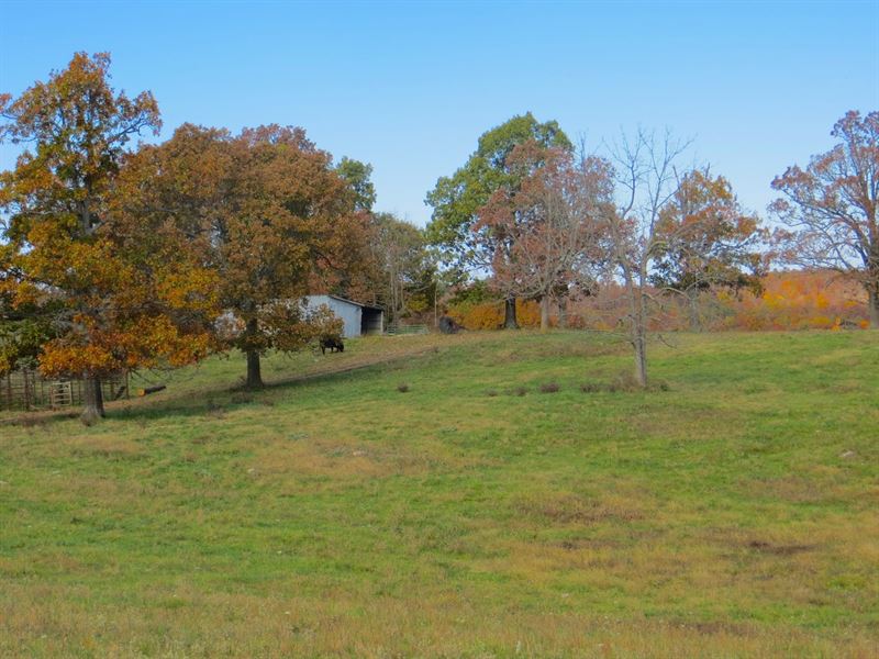 Farm for Sale : Mammoth Spring : Fulton County : Arkansas