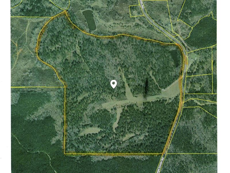 Good Hunting with Pond : Talbotton : Talbot County : Georgia