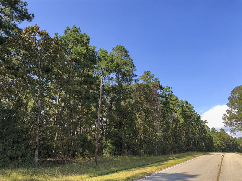 44 Ac Waterwood Estates Tr 11 : Huntsville : San Jacinto County : Texas
