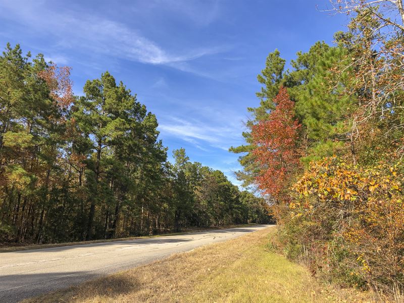 22 Ac New Waterwood Tr 3 : Huntsville : San Jacinto County : Texas