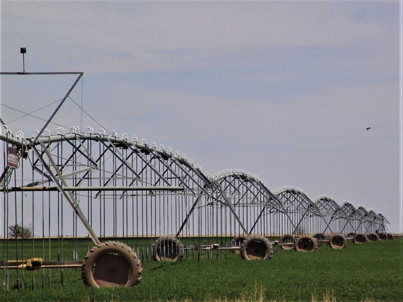 Irrigated Farms, Nm, Acreage : Hope : Eddy County : New Mexico
