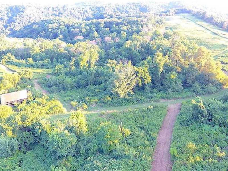 Winding Hill Rd, 113 Acres : Bellaire : Belmont County : Ohio