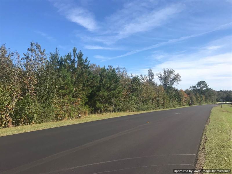 Developer's Dream : Wesson : Copiah County : Mississippi