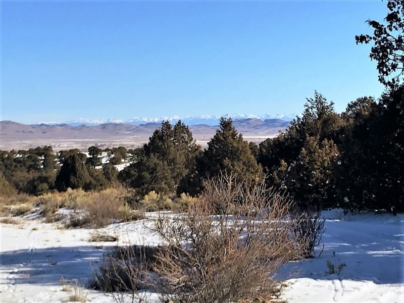 Pinon Hills Ranch Lot 4 : South Fork : Rio Grande County : Colorado