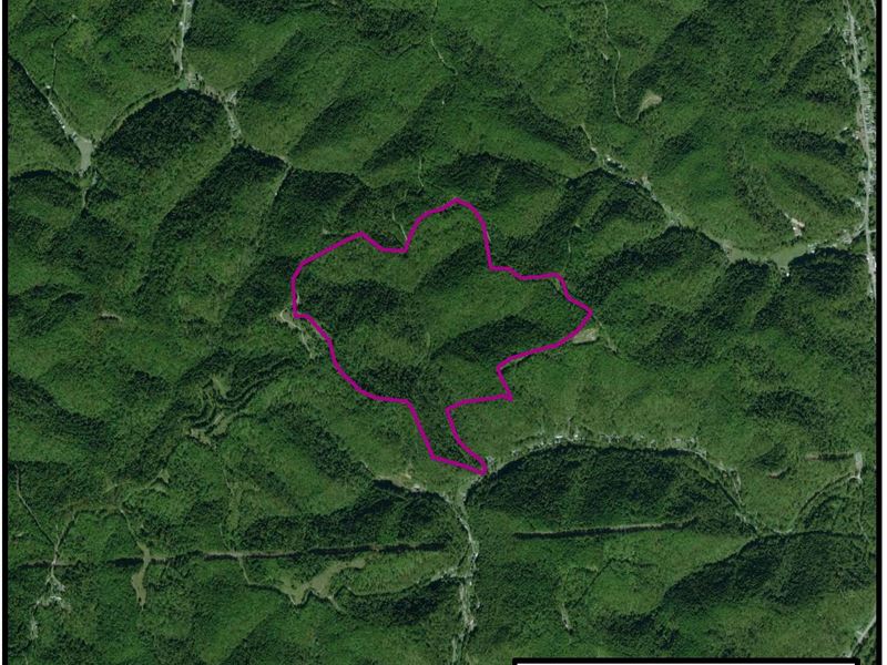 315 Acre Parcel : Branchland : Lincoln County : West Virginia