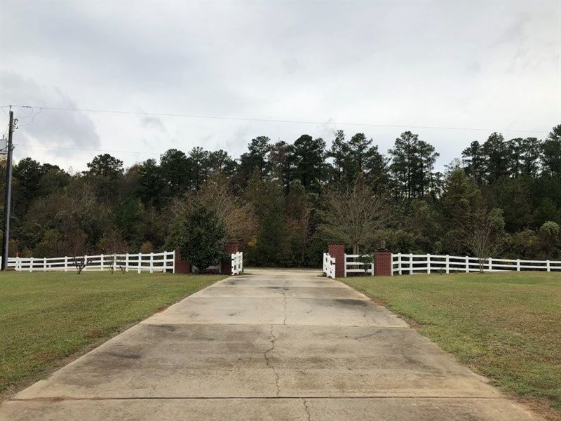 Cattle Horse Farm : Crawfordville : Taliaferro County : Georgia