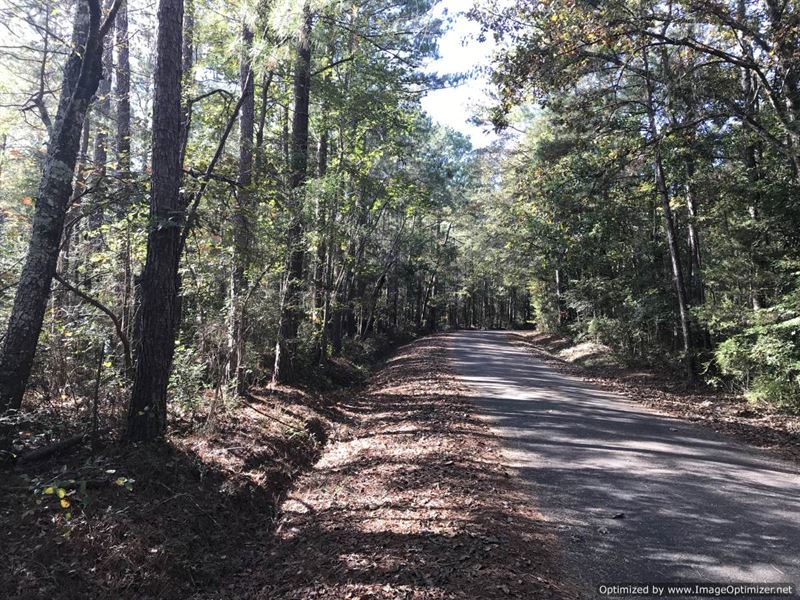 Lincoln County's Best Kept Secret : Wesson : Lincoln County : Mississippi